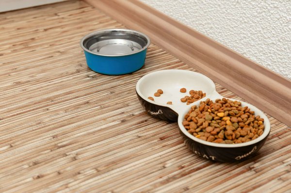 Tendance et écologie : choisissez le parquet en bambou